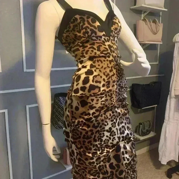 Cache Animal Print Leopard Formal Dresses for Women’s Size 4. D11 - Picture 6 of 15